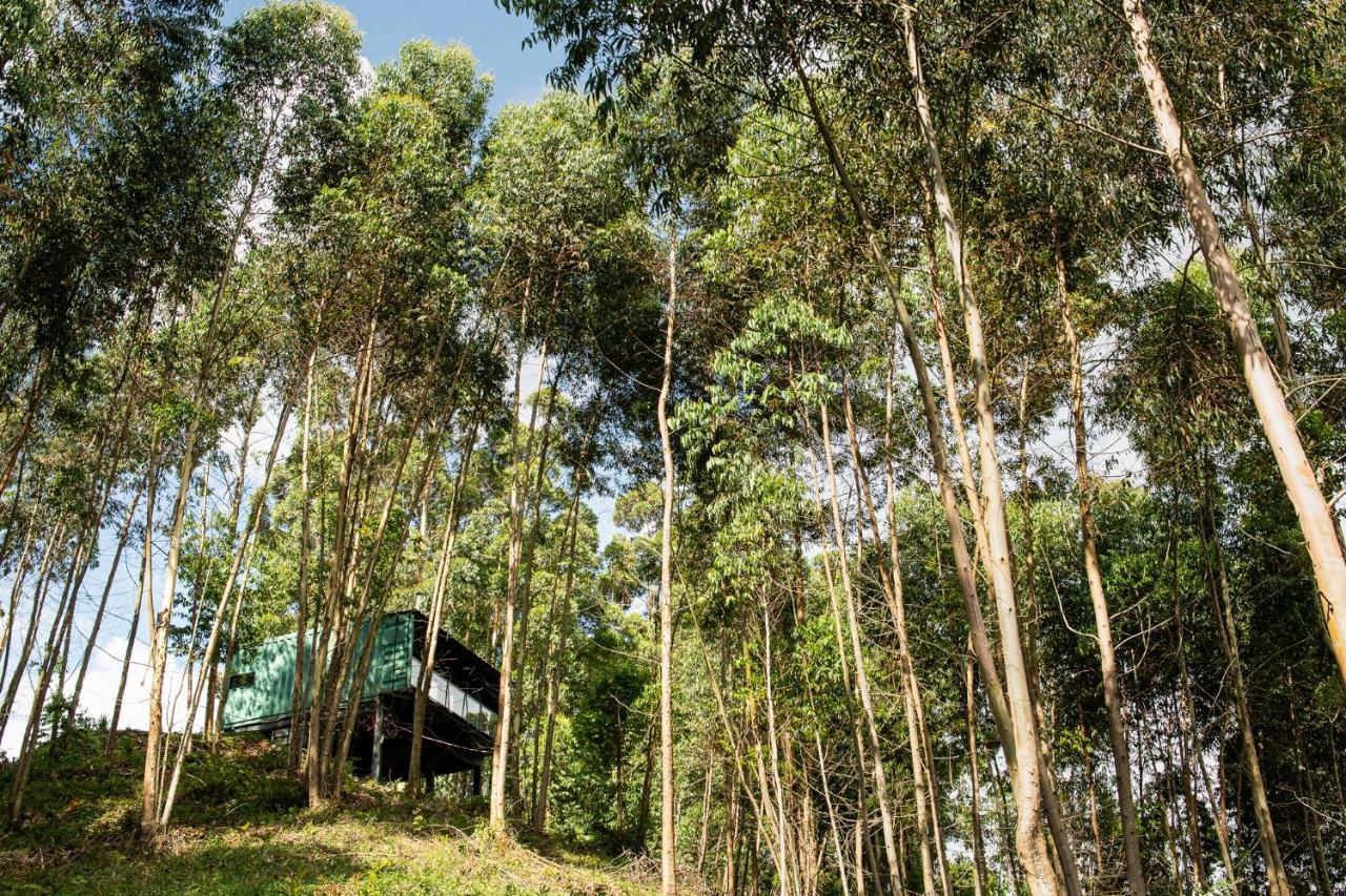 Casa Container Figo Em Meio A Natureza Na Serra Gaucha Flores da Cunha Exterior photo